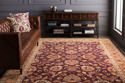 Caesar CAE-1024 Burgundy Area Rug by LIVABLISS