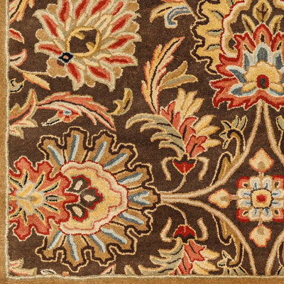 Caesar CAE-1028 Dark-Brown Area Rug by LIVABLISS