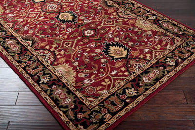 Surya Caesar CAE-1031 Burgundy Area Rug by LIVABLISS