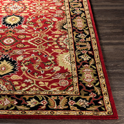 Surya Caesar CAE-1031 Burgundy Area Rug by LIVABLISS