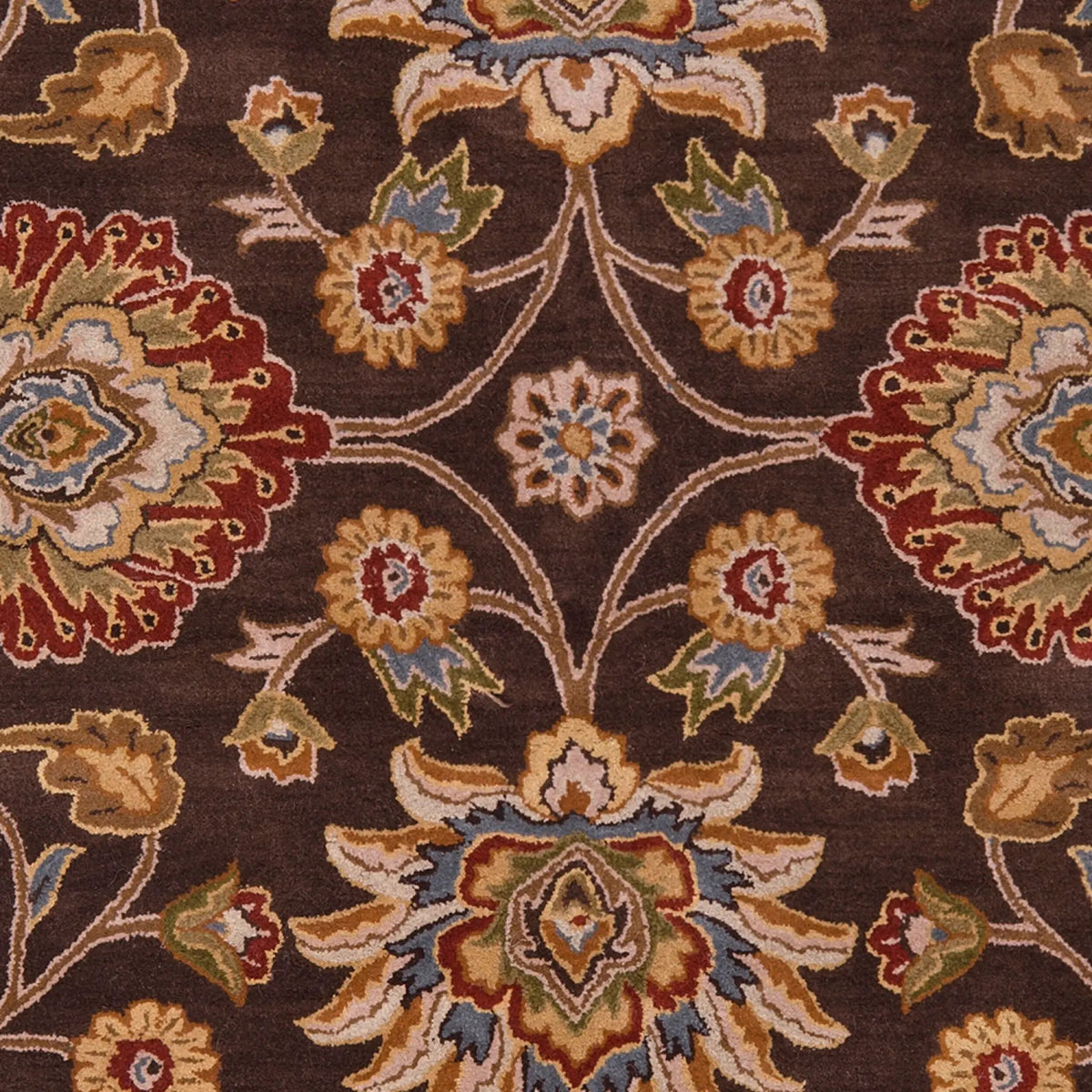 Caesar CAE-1051 Dark-Brown Area Rug by LIVABLISS