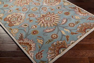 Caesar CAE-1052 Medium-Gray Area Rug by LIVABLISS