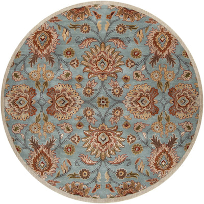 Caesar CAE-1052 Medium-Gray Area Rug by LIVABLISS