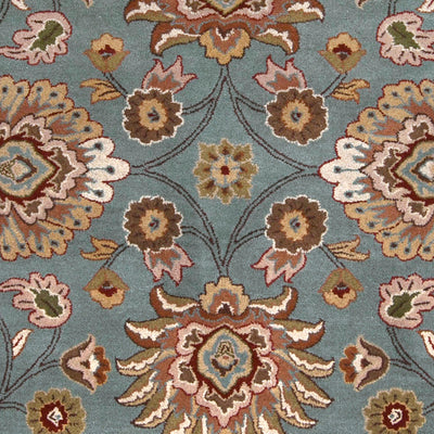 Caesar CAE-1052 Medium-Gray Area Rug by LIVABLISS