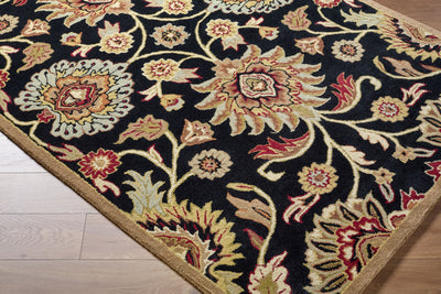 Caesar CAE-1053 Black Area Rug by LIVABLISS