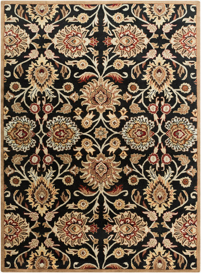 Caesar CAE-1053 Black Area Rug by LIVABLISS