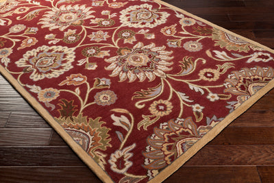 Caesar CAE-1061 Dark-Red Area Rug by LIVABLISS