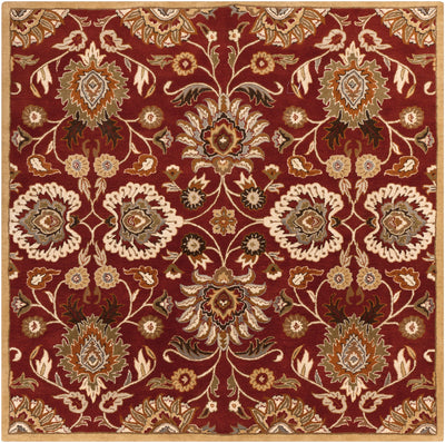 Caesar CAE-1061 Dark-Red Area Rug by LIVABLISS