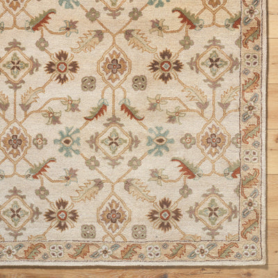 LIVABLISS Caesar CAE-1084 Area Rug