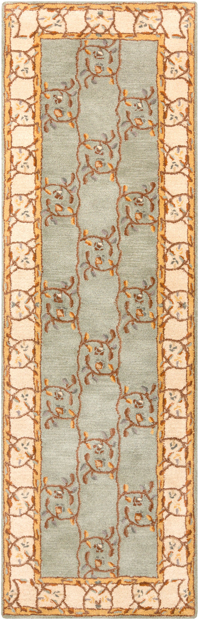 Surya Caesar CAE-1100 Sage Area Rug by LIVABLISS