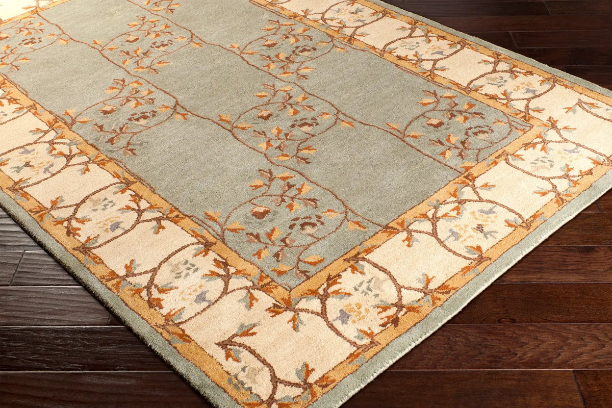 Caesar CAE-1100 Sage Area Rug by LIVABLISS