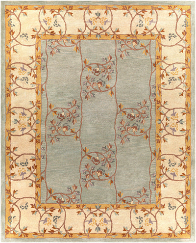 Surya Caesar CAE-1100 Sage Area Rug by LIVABLISS