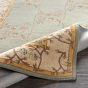 Surya Caesar CAE-1100 Sage Area Rug by LIVABLISS