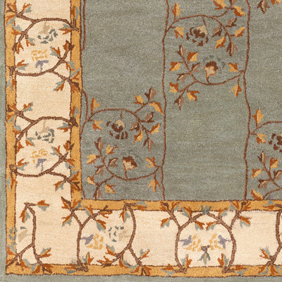 Surya Caesar CAE-1100 Sage Area Rug by LIVABLISS