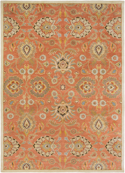 Caesar CAE-1107 Burnt-Orange Area Rug by LIVABLISS