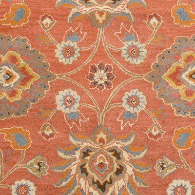 Caesar CAE-1107 Burnt-Orange Area Rug by LIVABLISS