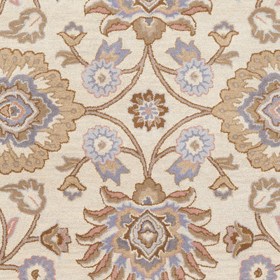 Caesar CAE-1109 Ivory Area Rug by LIVABLISS
