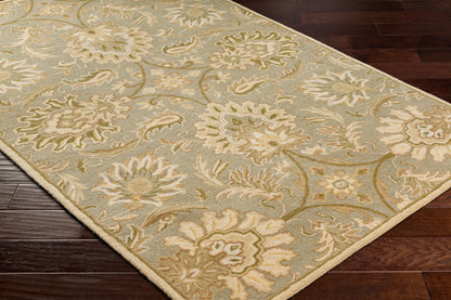 LIVABLISS Caesar CAE-1111 Sage Hand Tufted Area Rug