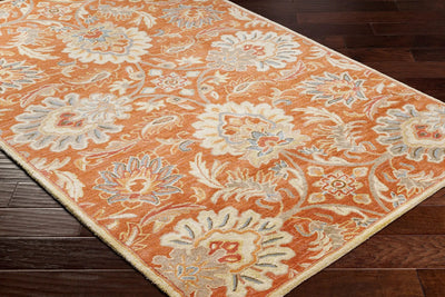 Caesar CAE-1112 Terracotta Area Rug by LIVABLISS