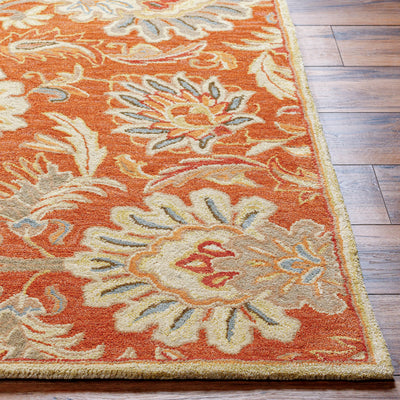 Caesar CAE-1112 Terracotta Area Rug by LIVABLISS