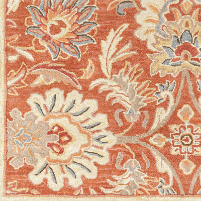 Caesar CAE-1112 Terracotta Area Rug by LIVABLISS