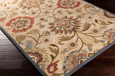 Caesar CAE-1116 Tan Area Rug by LIVABLISS