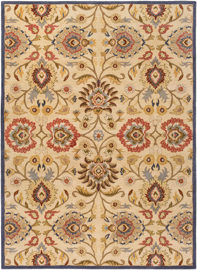 Caesar CAE-1116 Tan Area Rug by LIVABLISS