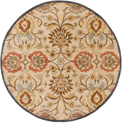 Caesar CAE-1116 Tan Area Rug by LIVABLISS