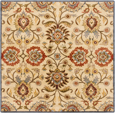 Caesar CAE-1116 Tan Area Rug by LIVABLISS