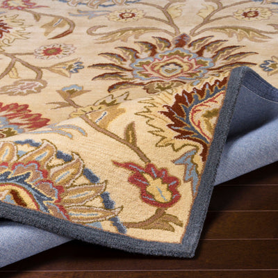 Caesar CAE-1116 Tan Area Rug by LIVABLISS