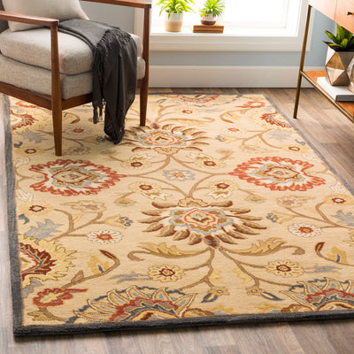 Caesar CAE-1116 Tan Area Rug by LIVABLISS
