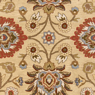 Caesar CAE-1116 Tan Area Rug by LIVABLISS