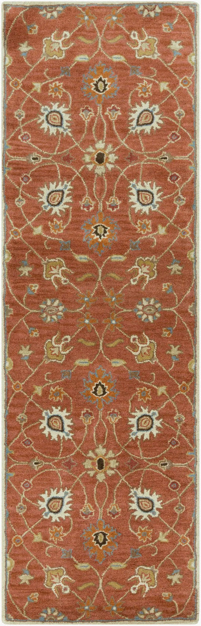 Caesar CAE-1119 Rust Area Rug by LIVABLISS