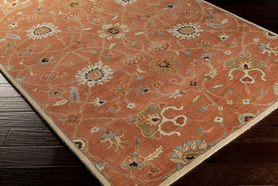 Caesar CAE-1119 Rust Area Rug by LIVABLISS