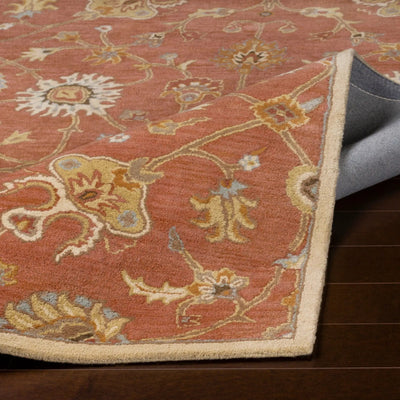 Caesar CAE-1119 Rust Area Rug by LIVABLISS
