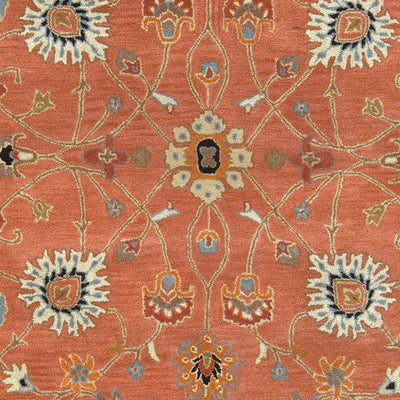 Caesar CAE-1119 Rust Area Rug by LIVABLISS
