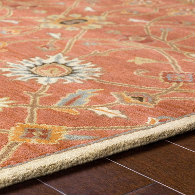 Caesar CAE-1119 Rust Area Rug by LIVABLISS