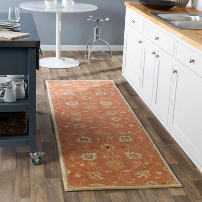 Caesar CAE-1119 Rust Area Rug by LIVABLISS