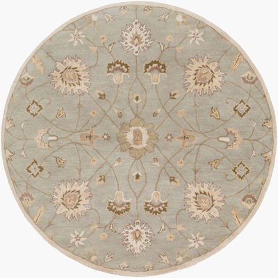Caesar CAE-1121 Gray Area Rug by LIVABLISS
