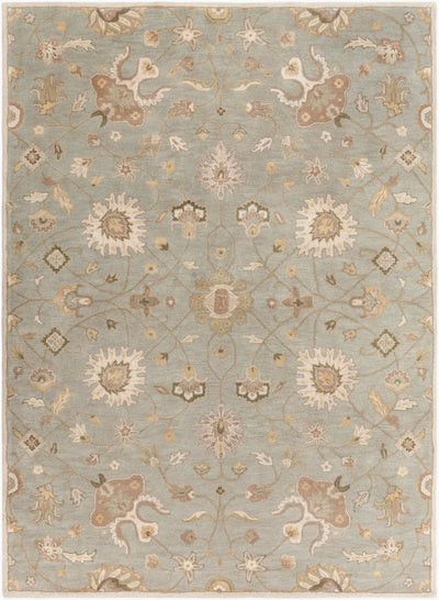 Caesar CAE-1121 Gray Area Rug by LIVABLISS