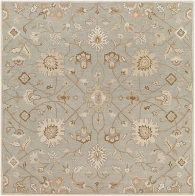 Caesar CAE-1121 Gray Area Rug by LIVABLISS