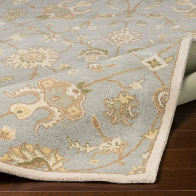 Caesar CAE-1121 Gray Area Rug by LIVABLISS