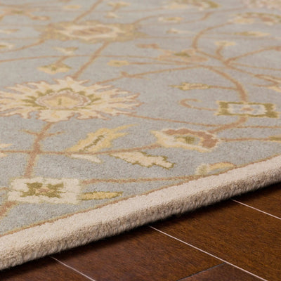 Caesar CAE-1121 Gray Area Rug by LIVABLISS