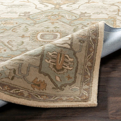 Caesar CAE-1143 Beige Area Rug by LIVABLISS