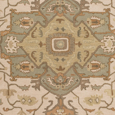 Caesar CAE-1143 Beige Area Rug by LIVABLISS