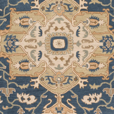 Caesar CAE-1145 Ink-Blue Area Rug by LIVABLISS