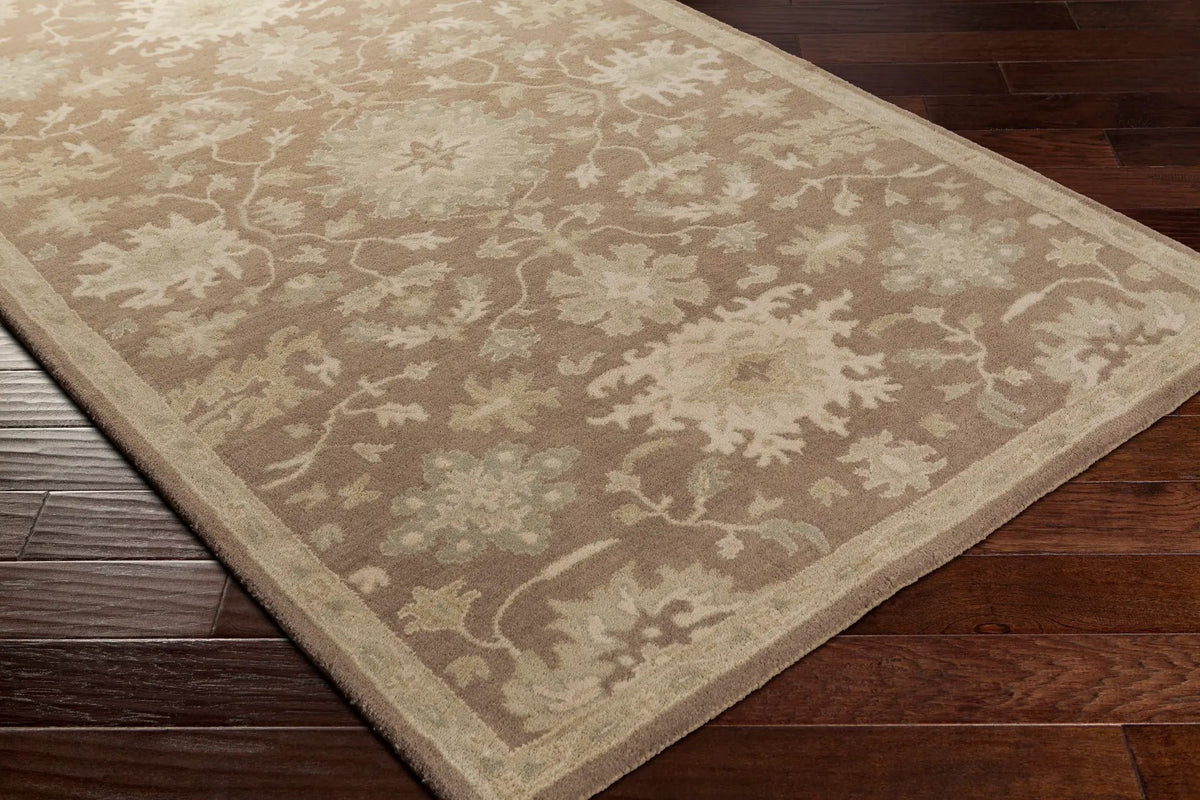Caesar CAE-1149 Dark-Brown Area Rug by LIVABLISS