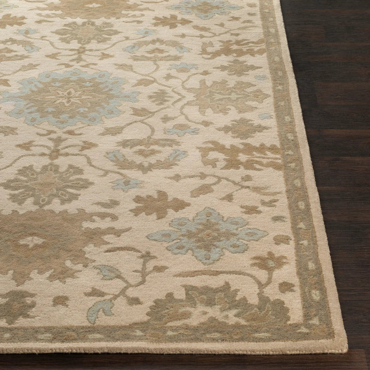 Caesar CAE-1161 Light-Beige Area Rug by LIVABLISS