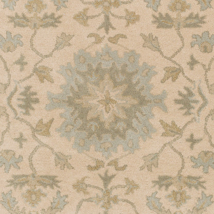 LIVABLISS Caesar CAE-1161 Light-Beige Area Rug
