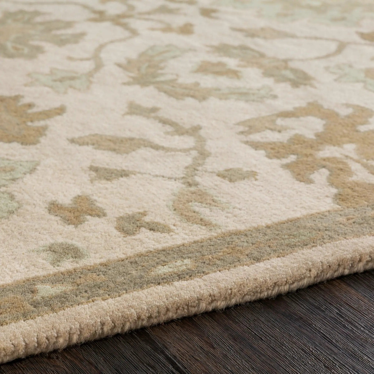 Caesar CAE-1161 Light-Beige Area Rug by LIVABLISS